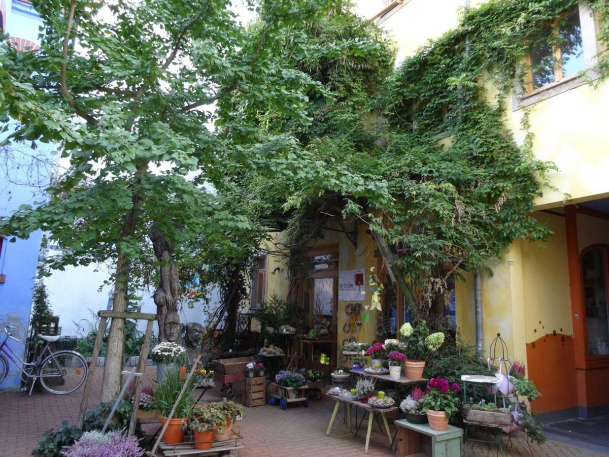 Apartmán Kunsthofperle Drážďany Exteriér fotografie